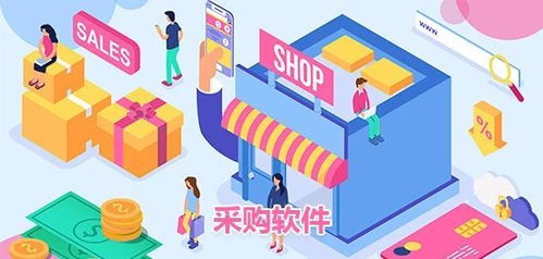 政務軟件系統采購與信息技術咨詢服務指南